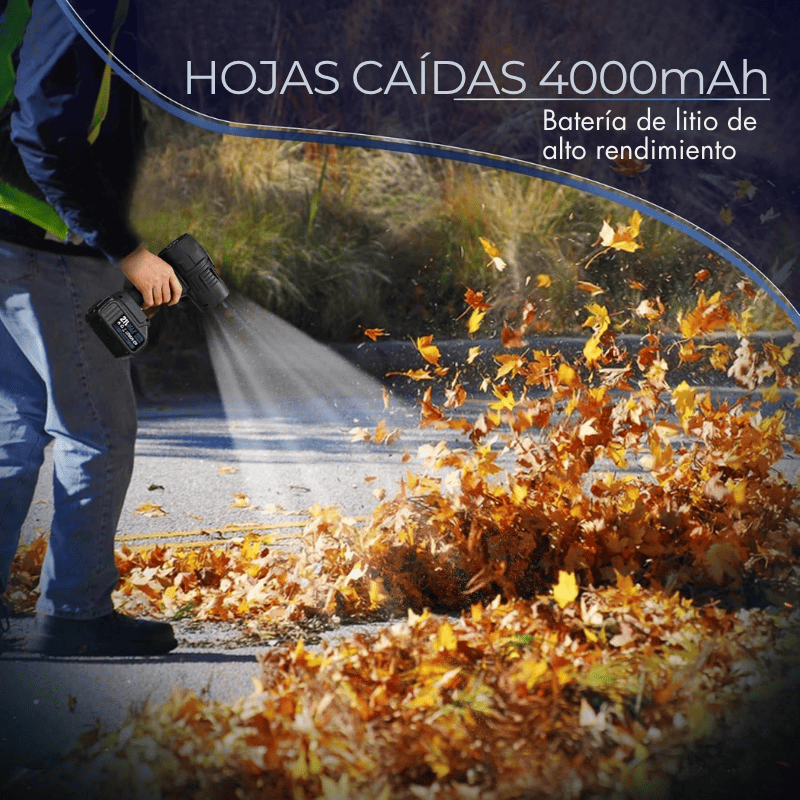 Clean Jet™ Limpieza Rápida